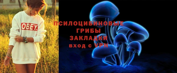 2c-b Алексин