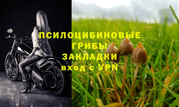 2c-b Алексин