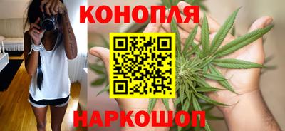 бошки Кудрово