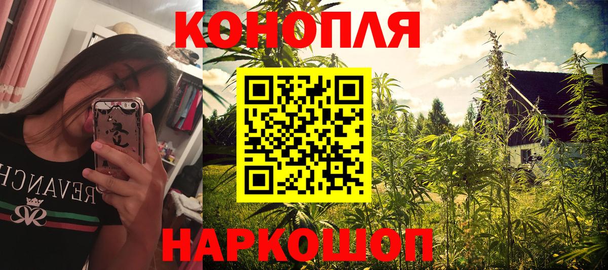 МАРИХУАНА сатива  Вход с VPN  Махачкала  Бошки марихуана планчик 